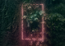 Load image into Gallery viewer, Anna Edholm "Silverlake backyard"